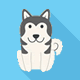 Husky - Pachet de gazduire web